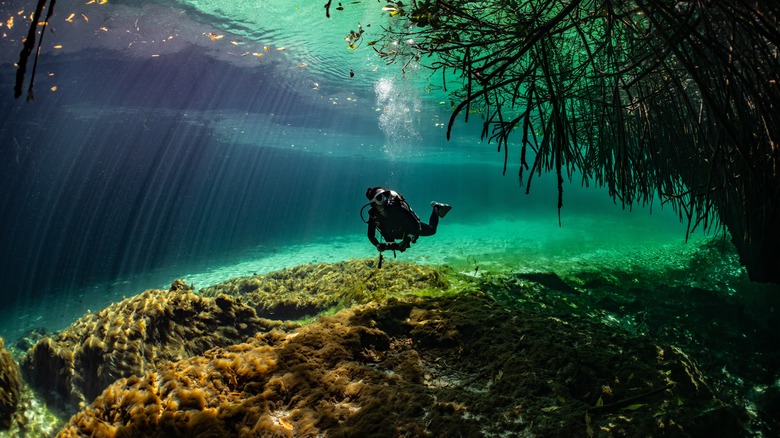 A diver examines their surroundings