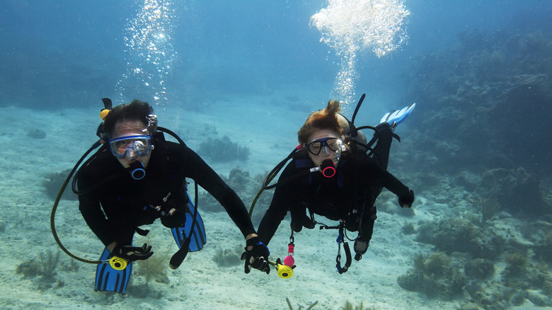 Couple holds hands while diving