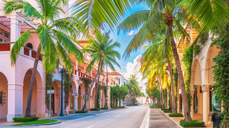 View of Worth Avenue lined by palm trees