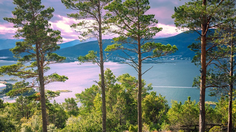 A view of the fjord from Mount Aksla in Ålesund, Norway