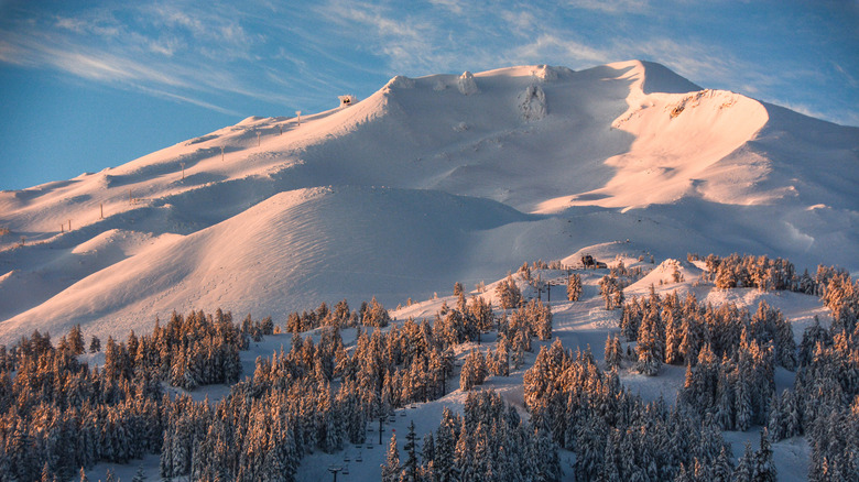 A snow-covered mountain in Oregon at golden hour with pine trees in the hills below