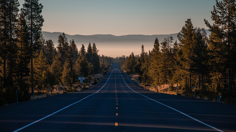 A long, straight road extends into the distance beset by tall trees on both sides with misty hills in the background