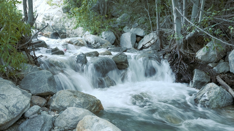 Stoddard Falls Mount Baldy