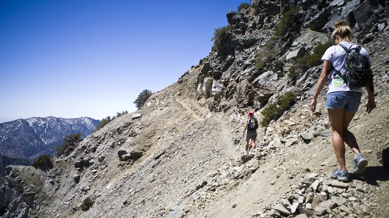 people hiking on Mount Baldy