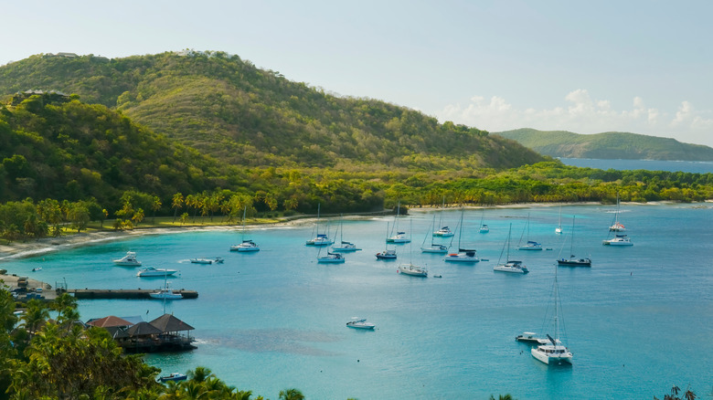 Aerial view of Mustique with green hills and turquoise water