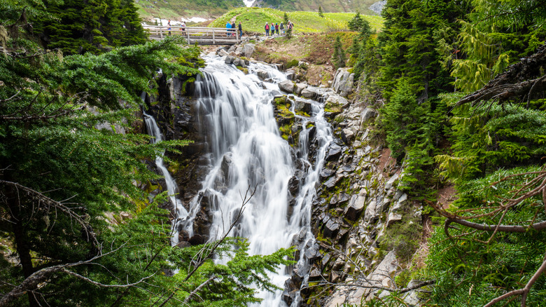 Footbridge and viewing area above Myrtle Falls in Washington