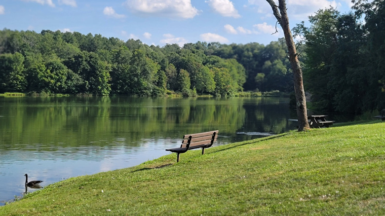 A bench facing Upper Lake in Twin Lakes Park, Latrobe, PA