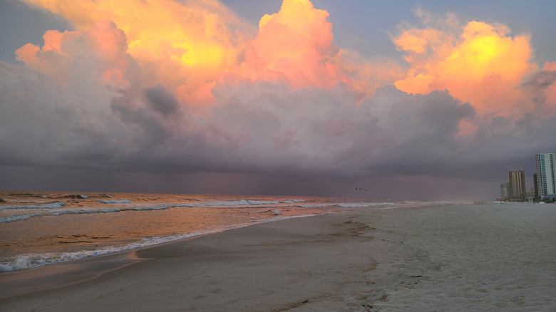 The Alabama Gulf Coast