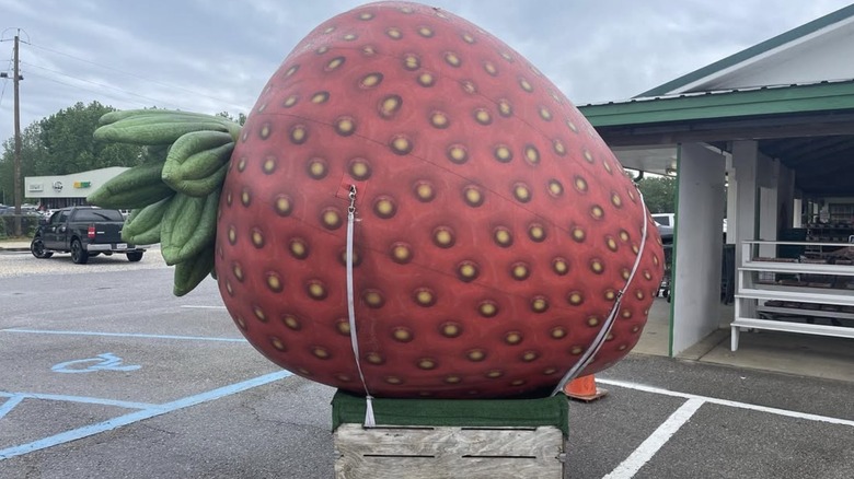 The Burris Farm Market, Loxley, Alabama