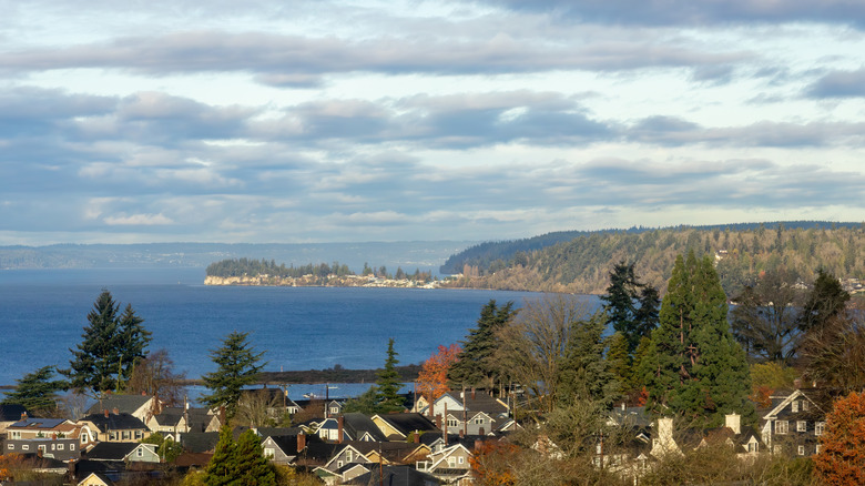 Aerial view of Everett, Washington