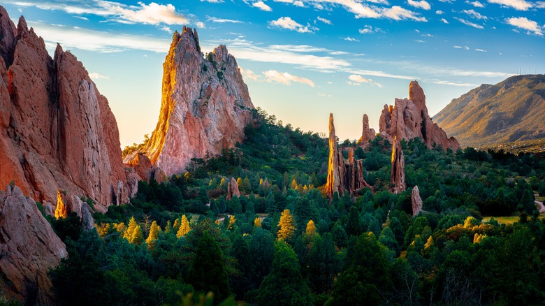 garden of the gods view in summer