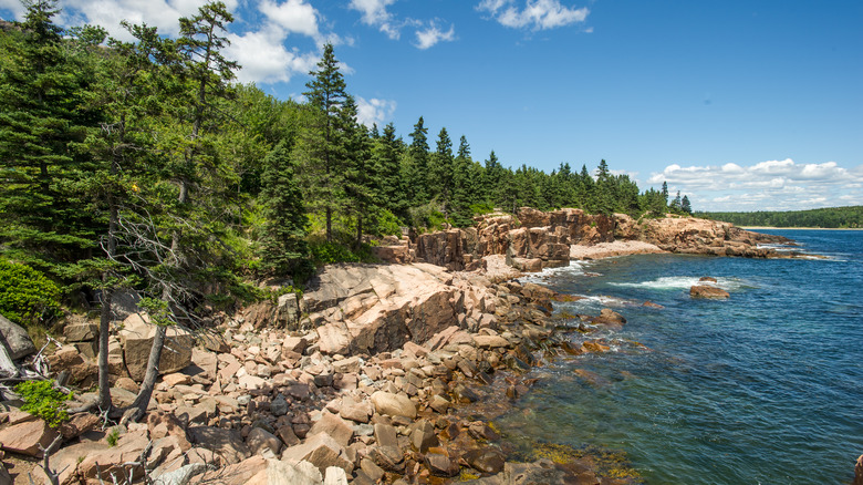 rocky coastline in Acadia