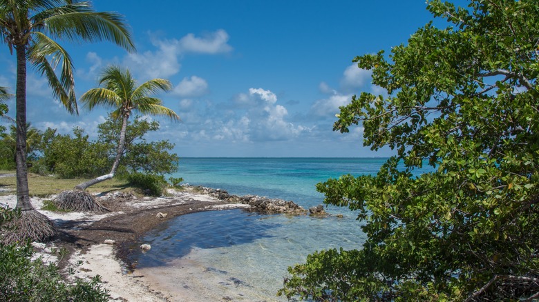 Biscayne coastline