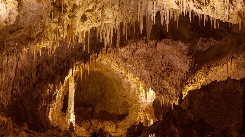 carlsbad caverns