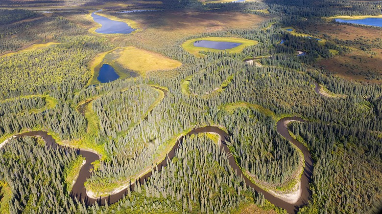 aerial view of Kobuk Valley