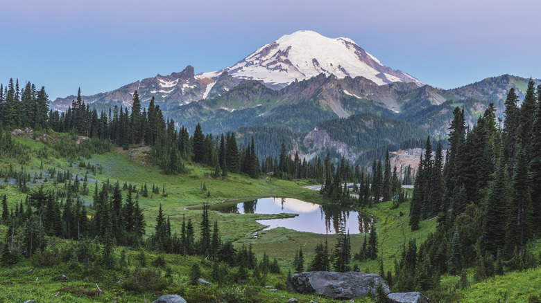 Mount Rainier landscape