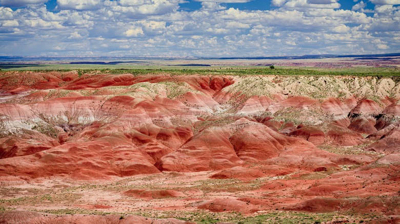 painted desert