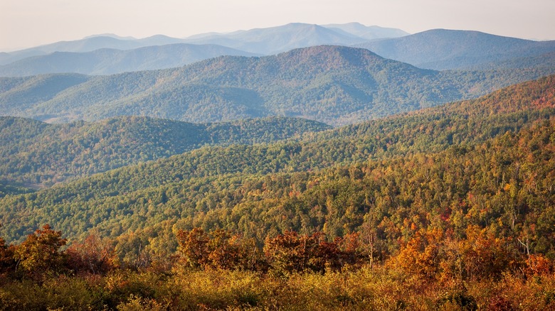 Rolling mountains