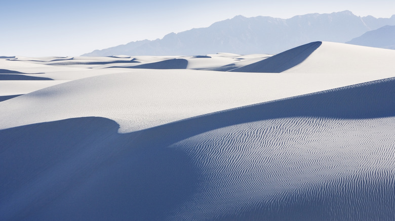 white sand dunes