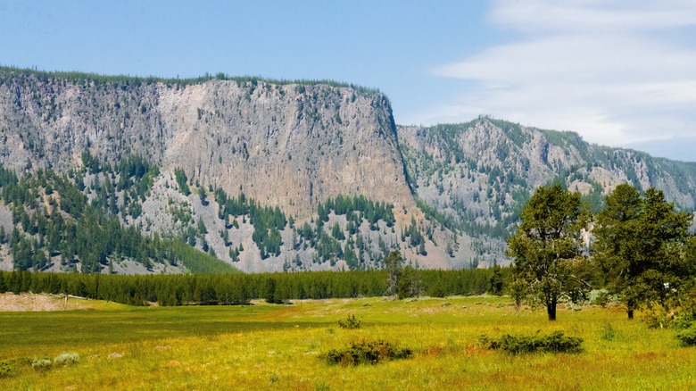 Yellowstone vista