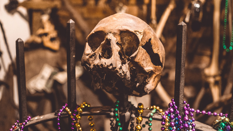 Human skull at voodoo museum