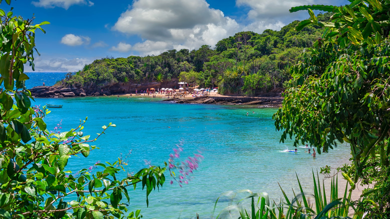 Beach and lush greenery at Buzios, Brazil