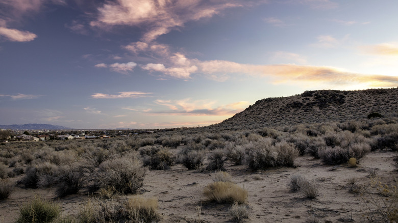 Desert landscape with sunset in New Mexico