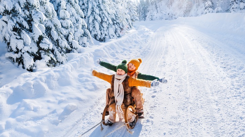 Happy children on sled in Finland