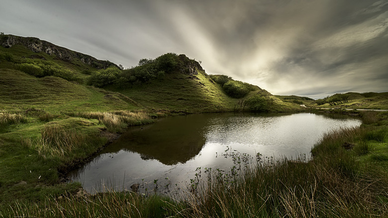 A small pool at Fairy Glen