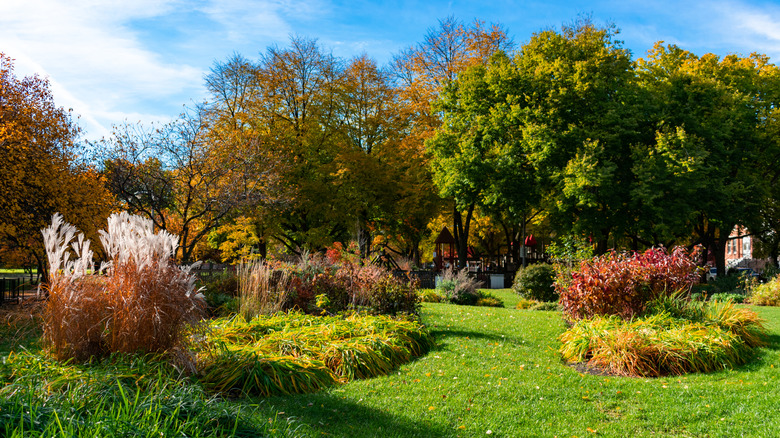 Colorful plants and trees in Oz Park in Chicago