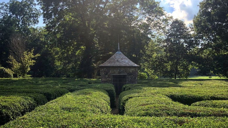 Harmonist Labyrinth with temple in the center