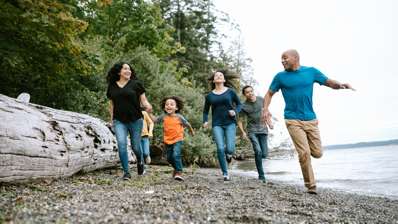 A family exploring the rocky beaches of Washington next to the forest