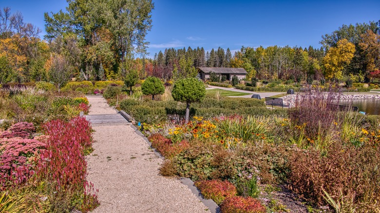 pathway surrounded by colorful flowers in International Peace Garden