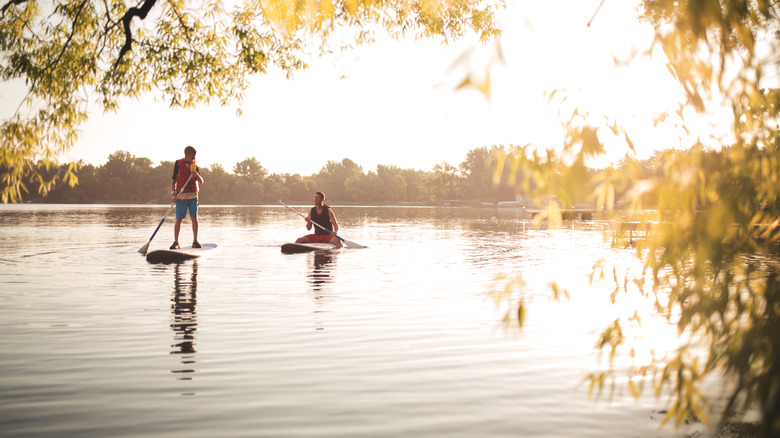 Two people paddleboarding on a lake in the Midwest