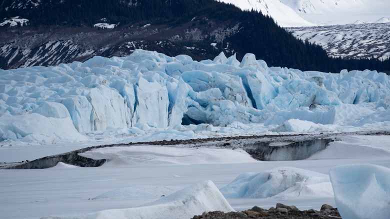 Light blue glacial icebergs in front of a forested hill