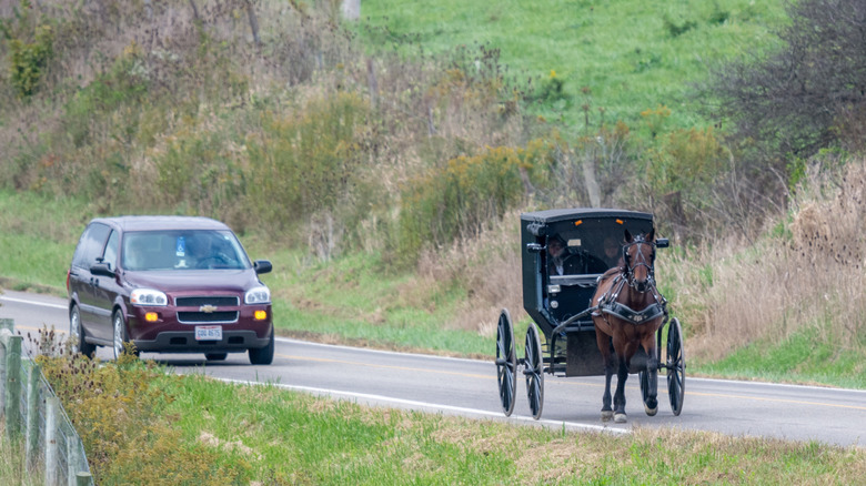 A car and a horse-drawn buggy in Ohio's Amish Country