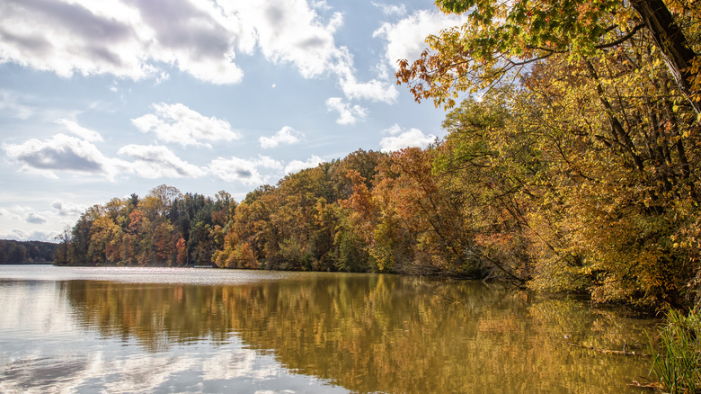 Edge of Hinckley Lake surrounded by fall foliage