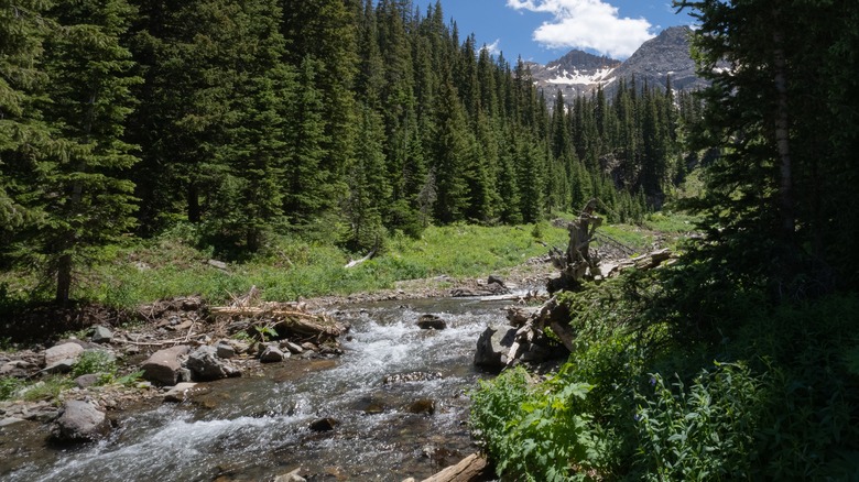 Creek on the blue lakes trail going through Colorado