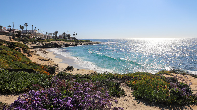 Rugged California coastline with shimmering blue waters