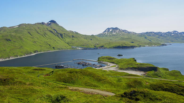 Trails along a fishing harbor in Unalaska, AK