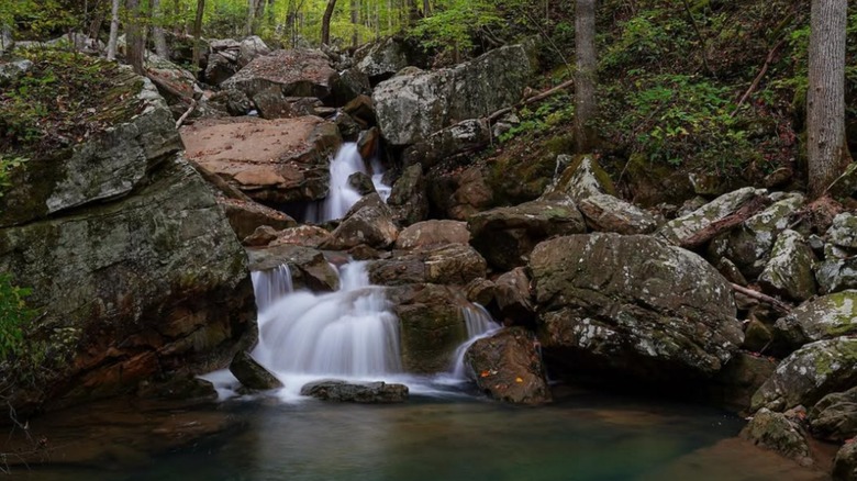 view of a creek on the Virgin Falls Trail in Sparta, Tennessee