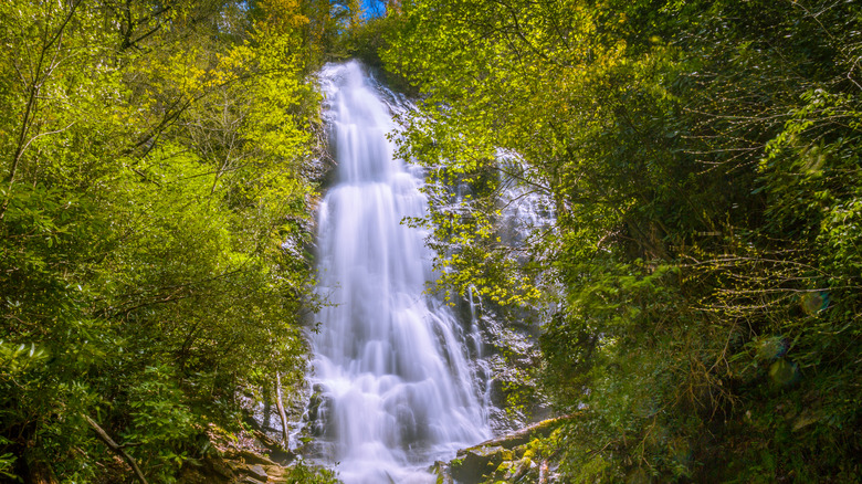 A long exposure of Mingo Falls cascading down rocks and downed trees surrounded by forest in North Carolina