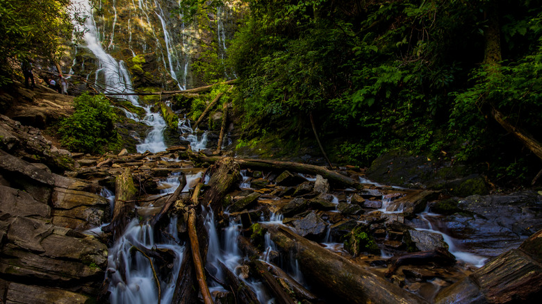 Mingo Falls cascading down rocks and downed trees surrounded by forest in North Carolina