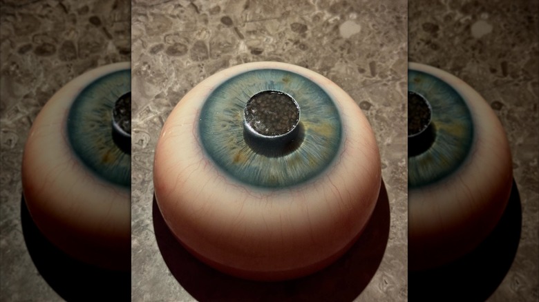 "1984," a dish of caviar atop an eye at Alchemist in Copenhagen, Denmark