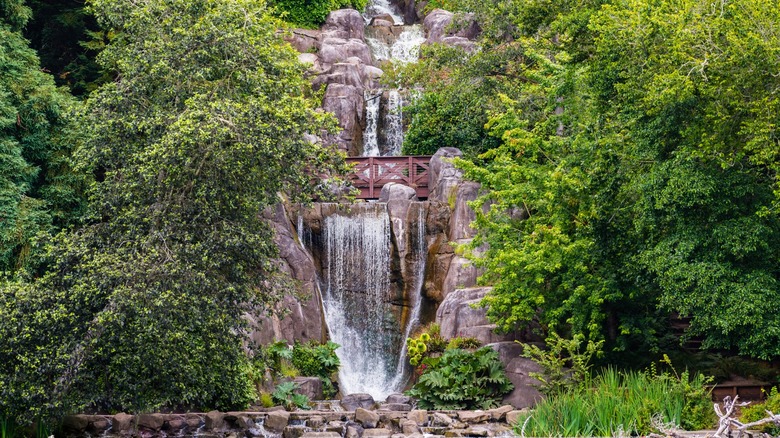 Waterfall hike on Strawberry Hill in San Francisco