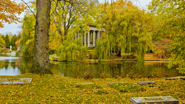 Graceland Cemetery, Chicago