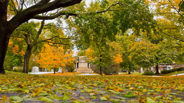 Graceland Cemetery in Chicago