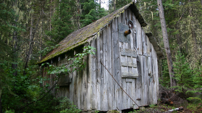 An old cabin in the forest