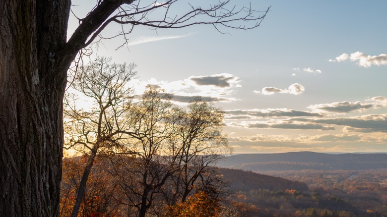 View from the Appalachian Trail in South Mountain, Maryland