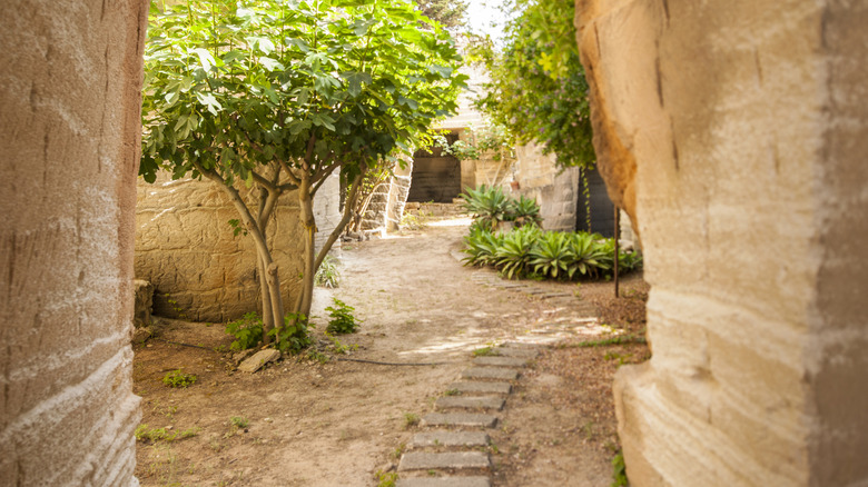 Pathway leading to stone quarries